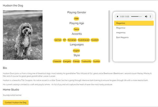 Example Profile