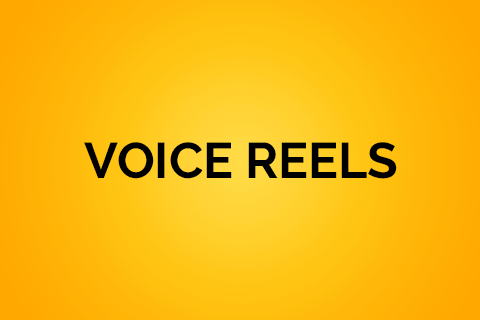 Voice Reels Service Image